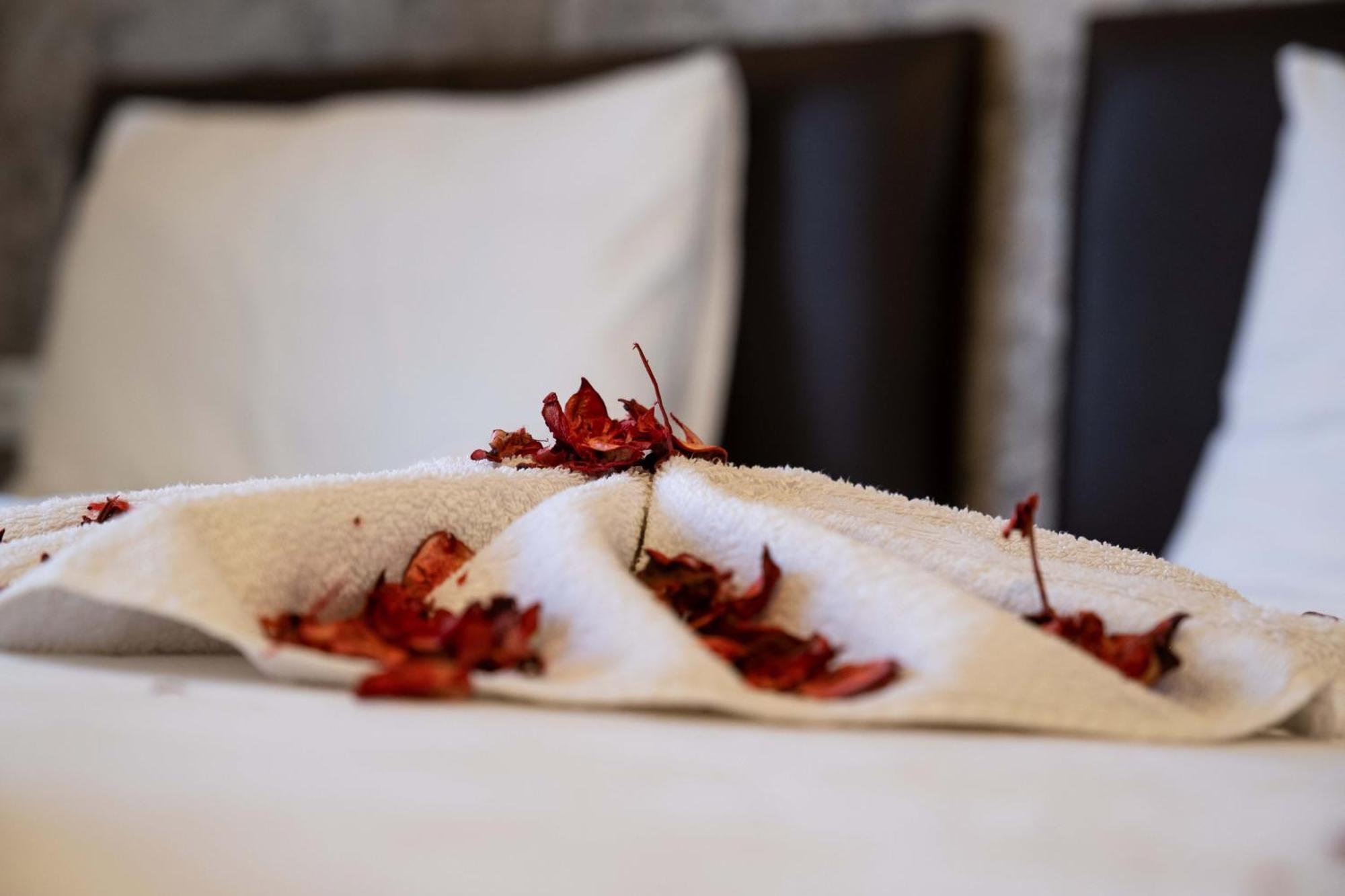 Ikarushotel 艾登 外观 照片